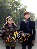 杉杉来了海报
